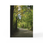 Note Card - Burnaby's Central Park in Spring