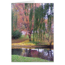 note card, "Weeping Willow at Pond"