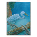 Note Card - White tropical bird in the Everglades