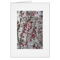 Note cards