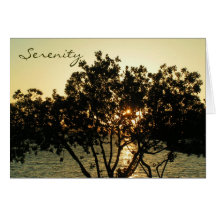 Note cards, Serenity