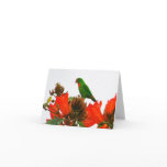Note cards wtih exotic parrot on orange flowers