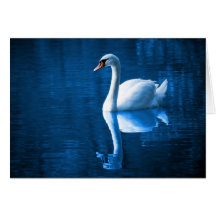 Notecard-Animals-Swan