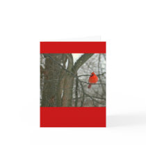 notecard, bright red cardinal on tree branch
