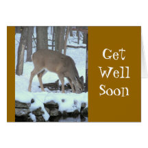 NOTECARD,"GET WELL SOON" (DEER PHOTO)