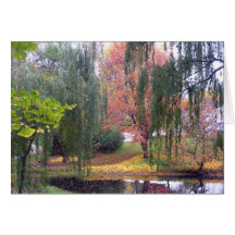 NOTECARD, "WEEPING WILLOWS AT POND"