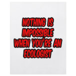 Nothing Is Impossible...Ecologist Custom Flyer