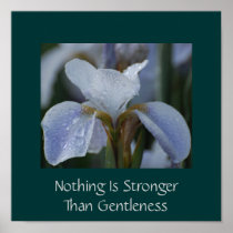 Nothing Is Stronger Than Gentleness Poster