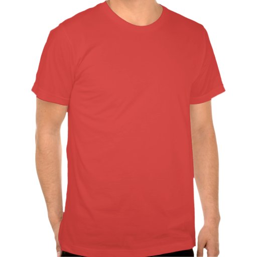 Nothing to Fear - Nothing to Hide T Shirts
