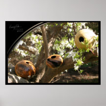 NOTRE ART SE DÉVELOPPE SUR DES ARBRES POSTERS