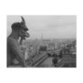 Notre Dame Gargoyle Post Cards