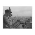 Notre Dame Gargoyle postcards