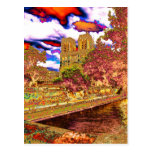 Notre Dame, Paris Postcards