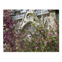 Notre Dame spring Post Cards