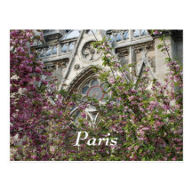 Notre Dame spring Postcards