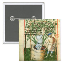 Nouv Acq Lat Gathering and pressing grapes Buttons