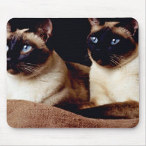 Nova And Damien Mousepads