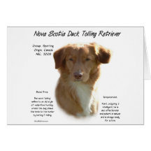 Nova Scotia Duck Tolling Retriever History Design Greeting Card