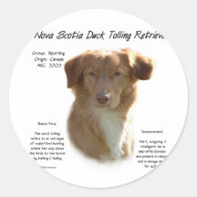 Nova Scotia Duck Tolling Retriever History Design Round Sticker
