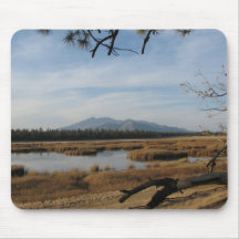 November 2008 072 mouse pad
