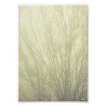 November Morning Tree Abstract Photo Print