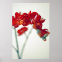 november rain print