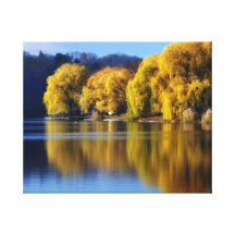 November Weeping Willows on Pond Gallery Wrap Canvas