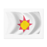 Novial Flag Postcard