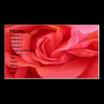 NOVINO - Erotic Red Rose business cards