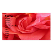 NOVINO - Erotic Red Rose