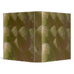NOVINO  Green Fresh Obssessed binders