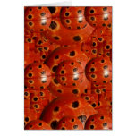 NOVINO Lady Bug Wants a Hug Greeting Cards