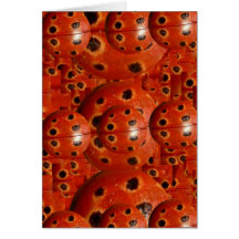 NOVINO Lady Bug Wants a Hug Greeting Cards