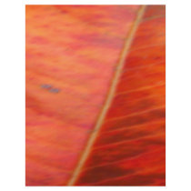NOVINO Shades of Gold - Leaf Texture
