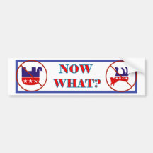 NOW WHAT? BUMPER STICKERS