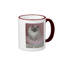 Now What? Mug