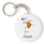 Now You Know Why I Have To Go (Diuresis) Keychain