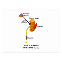 Now You Know Why I Have To Go (Diuresis) Postcards