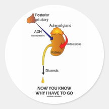Now You Know Why I Have To Go (Diuresis) Round Sticker