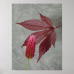 nuances du rouge posters