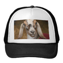 Nubian Dairy Goat Doe White Stripe Caprine Trucker Hat