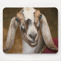 Nubian Dairy Goat Doe White Stripe Caprine Mouse Pad