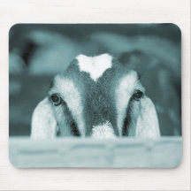 Nubian doe bw blue peeking over wooden rail mousepads