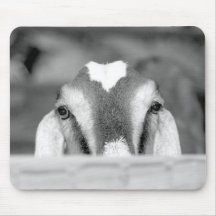 Nubian doe bw peeking over wooden rail.jpg mouse pad