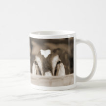 Nubian doe bw sepia peeking over wooden rail mugs