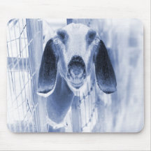 Nubian doe head on invert mouse pads