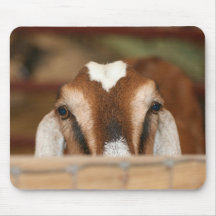 Nubian doe peeking over wooden rail mousepad