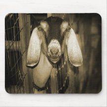 Nubian doe sepia head on getting out of gate mouse pads