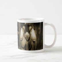 Nubian doe sepia head on getting out of gate mugs