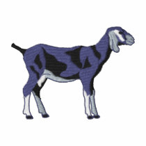 Nubian Goat